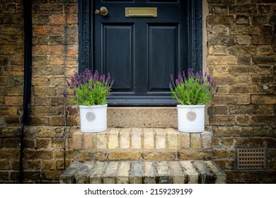 London, UK - Circa May 2022: Freshly Planted Lavender Pots Seen Outside The Entrance To An Old House. The Old Brickwork And Ornate Wooden Door Is Evident In The Photo.