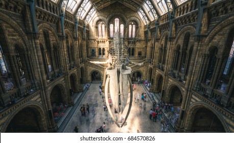 London, UK - July 25, 2017: People visiting the new Hintze hall in the Natural History Museum featuring a blue whale skeleton