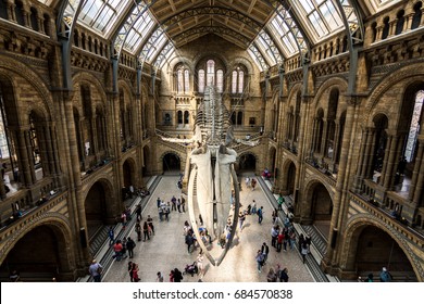 London, UK - July 25, 2017: People Visiting The New Hintze Hall In The Natural History Museum Featuring A Blue Whale Skeleton