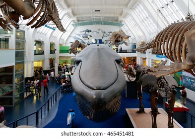 London, UK - July 28, 2016 - The Large Mammals Hall at the Natural History Museum