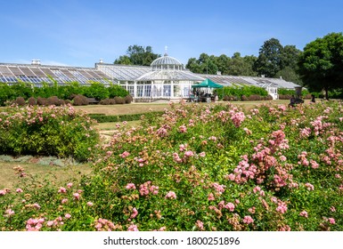 London / UK - July 30 2020: Chiswick House Garden Flowers In Bloom, West London