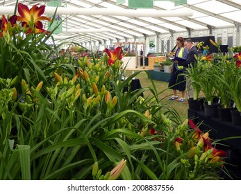 London, UK. July 5 2021. RHS Hampton Court Flower Show Judges, Judging Show Gardens In The Floral Marquee At Hampton Court Palace In July 2021.