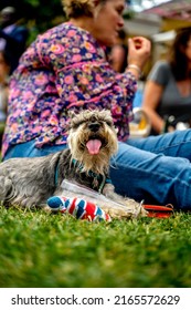 London, UK - July 5 2022: Happy Dog On The Grass At The Duke Of York, Queens Platinum Jubilee Celebration