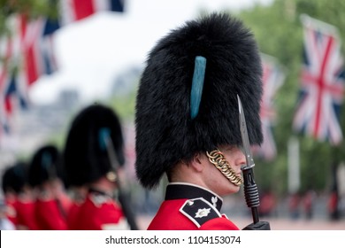 Bearskin Hat Images Stock Photos Vectors Shutterstock - 