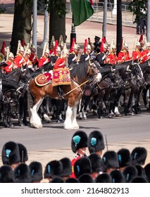 London UK, June 2022. Military Drum Horse Taking Part In The Trooping The Colour Military Parade At Horse Guards, Westminster, To Mark The Queen's Platinum Jubilee.