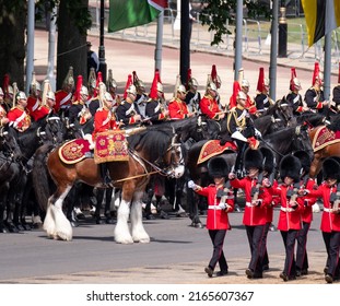 London UK, June 2022. Military drum horse taking part in the Trooping the Colour military parade at Horse Guards Parade, Westminster, to mark the Queen's Platinum Jubilee.