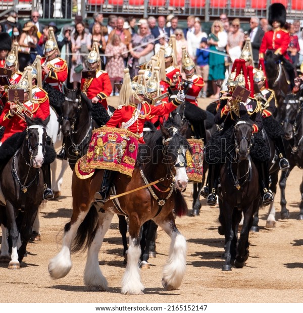 London UK, June 2022.\
Military drum horse taking part in the Trooping the Colour military\
ceremony at Horse Guards Parade, Westminster, to mark the Queen\'s\
Platinum Jubilee.