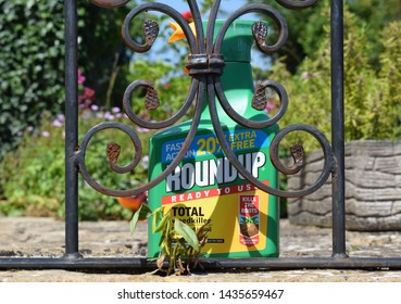 London, UK. June 27 2019. A Spray Bottle Of RoundUp Weedkiller In Front Of A Dying Sprayed Weed On A Patio In A Garden  