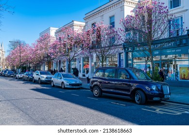 LONDON, UK - MARCH 19, 2022: Magnolia Trees In Full Bloom Outside Shops In Westbourne Grove, A Retail Road Running Across Notting Hill In West London