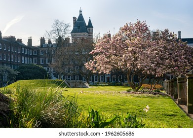 LONDON, UK - MARCH 28, 2012:  View across the New Square gardens at Lincoln's Inn, an Inn of Court in Holborn