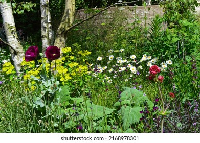 London, UK - May 24, 2022: RHS Chelsea Flower Show, The Mind Garden