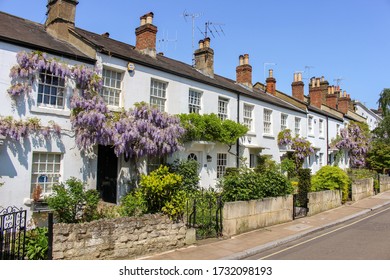 London / UK - May 7 2018: Cute Terraced Houses With Wisteria Flowers In Richmond, An Affluent Suburban Town In South-west London By The River Thames