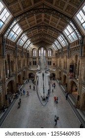 London, UK - OCT 3, 2018: People visiting the new Hintze hall in the Natural History Museum featuring a blue whale skeleton