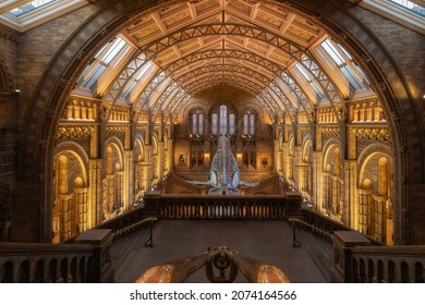 London, UK, October 2021, Natural History Museum 