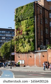 London, UK - September 21, 2019: Pollution Preventing Plants Growing On A Living Wall At The Busy Traffic Junction At Elephant And Castle In Southwark, London.