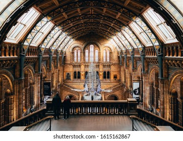 London, UK/Europe; 21/12/2019: Blue whale skeleton in the main hall of the Natural History Museum of London