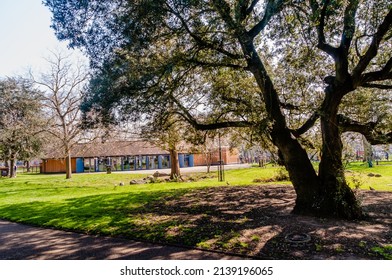 London, United Kingdom, 22 March 2022: Café  In The Background, Central Park, East Ham, Newham