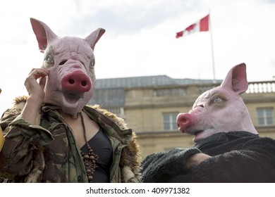 London, United Kingdom - April 16, 2016: Anti-Austerity March. Two People Came Dressed As Pigs To Represent The General Feeling On The March That The Conservative Government Are As Greedy As Pigs.