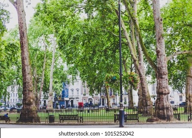 LONDON, UNITED KINGDOM - August 9th, 2014: park with greenery, benches and sculptures in Berkeley Square in London city centre