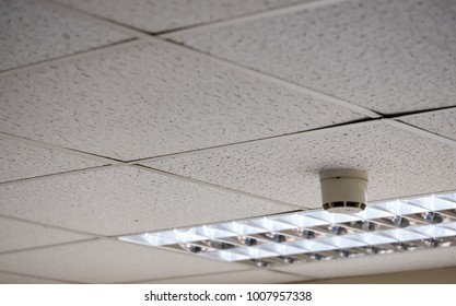 Office Ceiling Tile Images Stock Photos Vectors