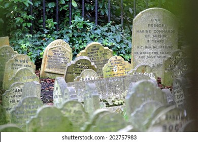 LONDON, UNITED KINGDOM - DECEMBER 25: Pet Graveyard In London On DECEMBER 25, 2009. The Victorian Pet Cemetery Of Hyde Park For Victorian Pets In London, United Kingdom.