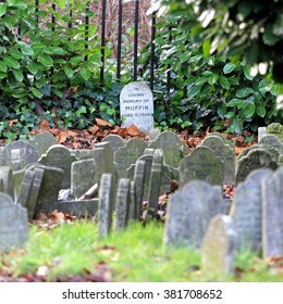 LONDON, UNITED KINGDOM - DECEMBER 25: Pet Cemetery In London On DECEMBER 25, 2009. The Victorian Pet Graveyard Of Hyde Park For Victorian Pets In London, United Kingdom.