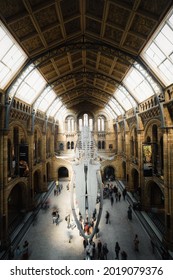 LONDON, UNITED KINGDOM - Feb 21, 2021: A Huge blue Whale Skeleton and Visitors in the Natural History Museum in London, Uk