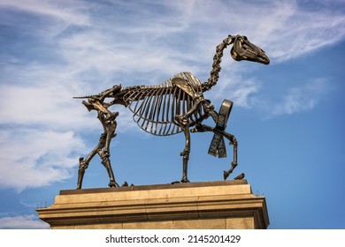 London, United Kingdom - July 3, 2015: Sculpture On Fourth Plinth At Trafalgar Square.