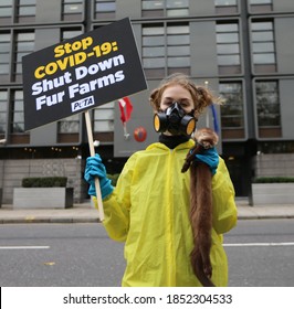 LONDON, UNITED KINGDOM - November 11  2020: PETA Activists Stage A Rotes Outside Danish Embassy In London Against Mink Fur Farming Recently Came Into Public Attention With Mutated Coronavirus Strain. 