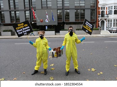 LONDON, UNITED KINGDOM - November 11  2020: PETA activists stage a rotes outside Danish embassy in London against mink fur farming recently came into public attention with mutated coronavirus strain. 