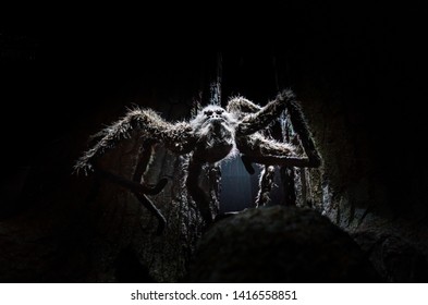 London / United Kingdom - November 23 2017: Warner Bros Harry Potter Studio. A Giant Spider Aragog, An Acromantula Owned By Rubeus Hagrid. He Was Able To Communicate With Humans With Speech.