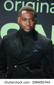 London, United Kingdom - November 30, 2021: Dipo Ola attends the "Landscapers" UK Premiere at Queen Elizabeth Hall in London, England.