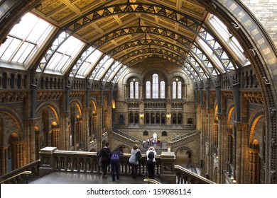 LONDON, UNITED KINGDOM - OCT 09: Interior view of Natural History Museum on october 09, 2013 in London, UK. The museum's collections comprise almost 70 million specimens from all parts of the world.