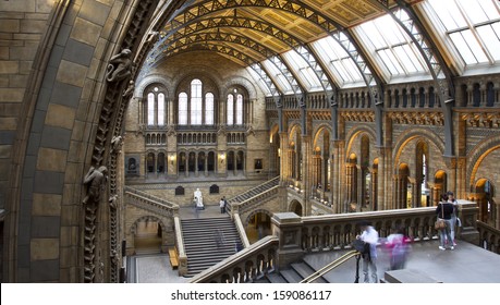 LONDON, UNITED KINGDOM - OCT 09: Interior view of Natural History Museum on october 09, 2013 in London, UK. The museum'Â?Â?s collections comprise almost 70 million specimens from all parts of the world.