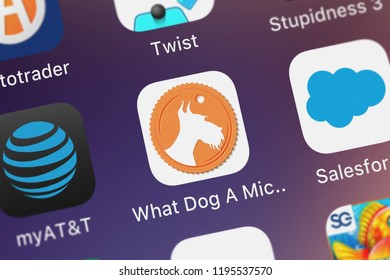 London, United Kingdom - October 01, 2018: Screenshot Of The What Dog A Microsoft Garage Project Mobile App From Microsoft Corporation Icon On An IPhone.