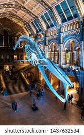 London, United Kingdon - Deceber 2 2018: Huge dinosaur bones at Central Hall, Natural History Museum, South Kensington, London, England, United Kingdom, Europe