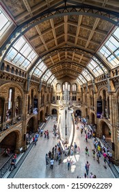 London,England,UK-August 21 2019: Inside Hintz Hall,the skeleton of a female Blue Whale named Hope,hangs suspended above the main concourse,where many visitors stroll on a summer afternoon.