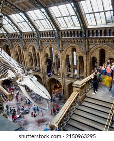 London,England,UK-August 21 2019:Inside the main hall,the famous skeleton of a female Blue Whale named Hope,hangs suspended above the concourse,where many visitors stroll during a summer afternoon.
