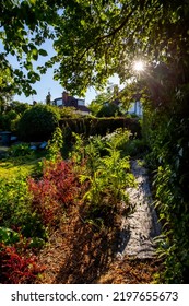 London,Hampstead Garden Suburban Uk 3.09.2022 A Wonderful Allotment In Hampstead Garden Suburb NW London Gives Pleasure To Local Residents Which Gives Them The Opportunity To Grow Their Fruit And Veg