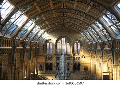 London's Natural History Museum Main Hall