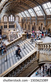 LONDON,UK - JULY 26,2019 :  The Hintze Hall At The Natural History Museum In London With A Blue Whale Skeleton Hanging From The Ceiling