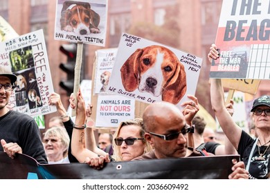 492 Animal rebellion logo Images, Stock Photos & Vectors | Shutterstock