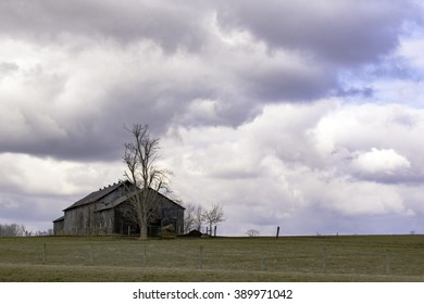 Lone barn and tree in a field with dramatic sky and blank area to the right