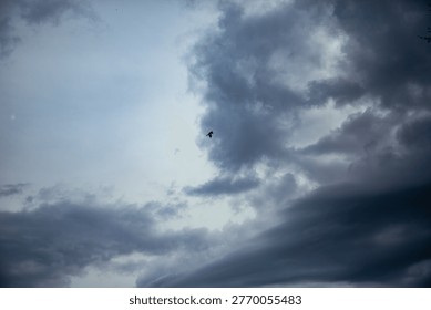 Lone bird flying through dramatic cloudy sky with dark storm clouds and open atmosphere creating moody natural scene of freedom and weather contrast