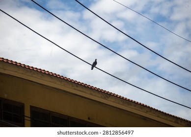 A lone bird is perched on a power line above a building roof, with a backdrop of a bright sky filled with scattered clouds, depicting urban life and natural bird behavior.
