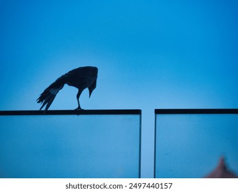 A lone bird silhouette perches on a glass edge against a gradient blue sky, creating a serene and contemplative atmosphere. - Powered by Shutterstock