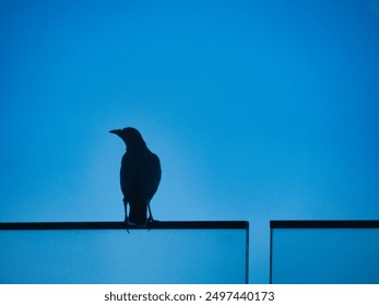 A lone bird silhouette perches on a glass edge against a gradient blue sky, creating a serene and contemplative atmosphere. - Powered by Shutterstock