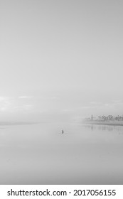 Lone Bird Sits On A Hazy Beach At Low Tide