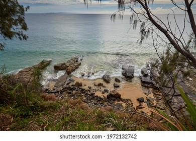 Lone Bird At Sunset Noosa