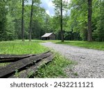 Lone cabin in the dark woods